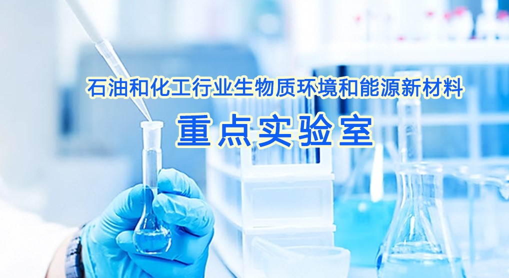 武工大獲批石化行業(yè)重點(diǎn)實(shí)驗(yàn)室