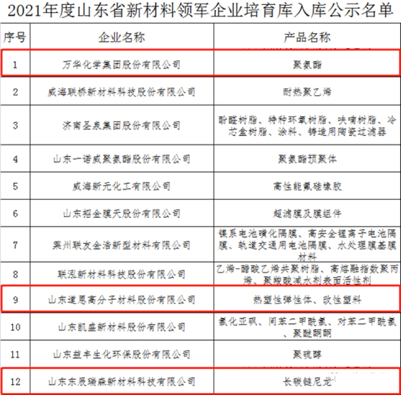 萬華化學(xué)、山東道恩、東辰瑞森等企業(yè)在列！2021年度山東省新材料領(lǐng)軍企業(yè)公示