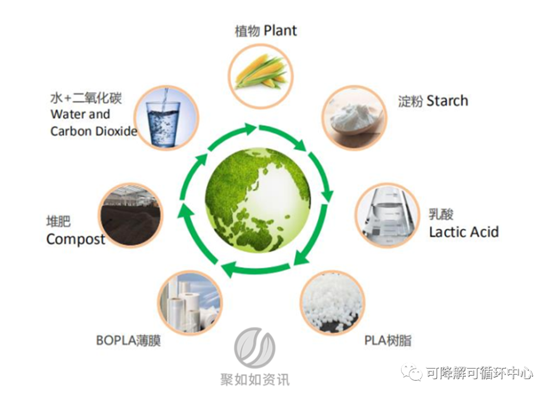 中侖新材IPO受理，擬建2萬(wàn)噸高端BOPLA薄膜