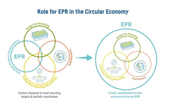 Ceflex 首次公開軟包裝 EPR 循環(huán)經(jīng)濟標(biāo)準(zhǔn)條件